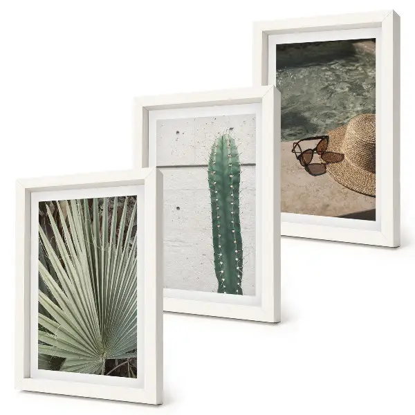 Juego de 3 cuadros decorativos con diseño de plantas tropicales y accesorios de vacaciones junto al agua