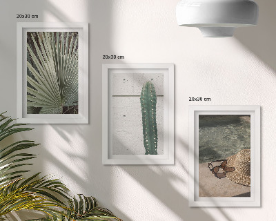 Juego de 3 cuadros decorativos Plantas tropicales y accesorios para vacaciones junto al agua.