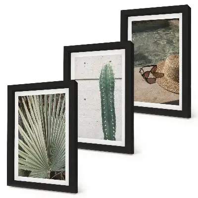 Juego de 3 cuadros decorativos con diseño de plantas tropicales y accesorios de vacaciones junto al agua