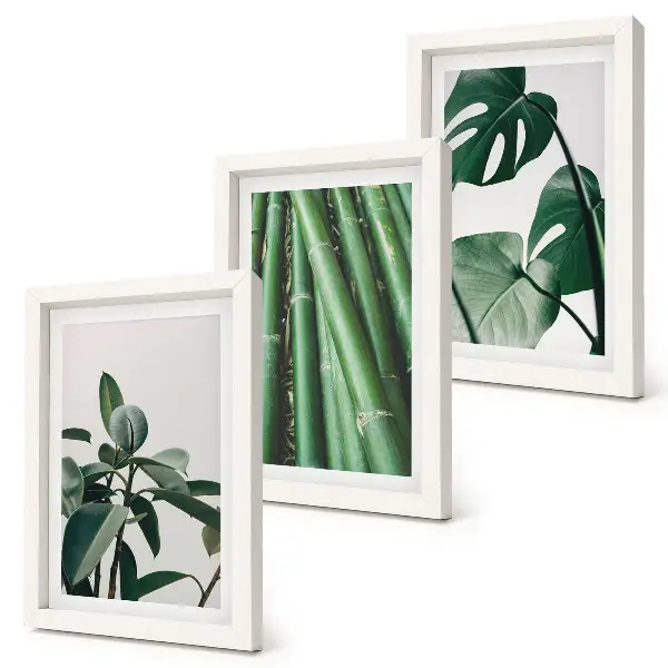 Juego de 3 cuadros decorativos de tallos de bambú con hojas de monstera