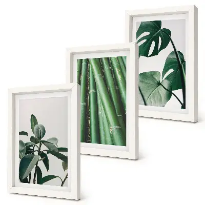 Juego de 3 cuadros decorativos de tallos de bambú con hojas de monstera