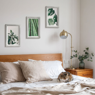 Juego de 3 cuadros decorativos Tallos de bambú, planta de interior y hojas de monstera