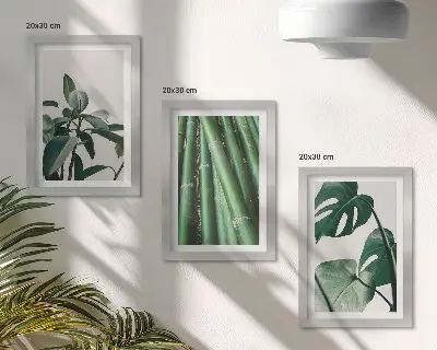 Juego de 3 cuadros decorativos de tallos de bambú con hojas de monstera