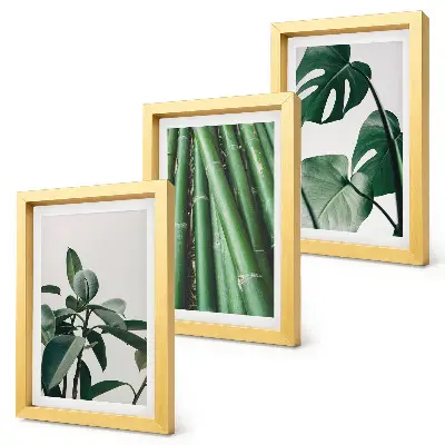 Juego de 3 cuadros decorativos de tallos de bambú con hojas de monstera