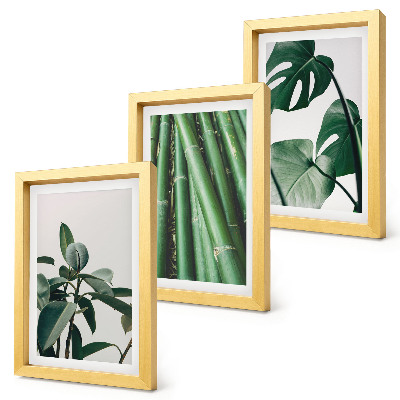 Juego de 3 cuadros decorativos Tallos de bambú, planta de interior y hojas de monstera