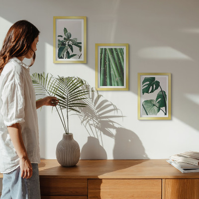 Juego de 3 cuadros decorativos Tallos de bambú, planta de interior y hojas de monstera