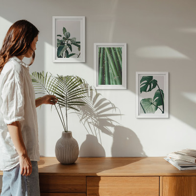 Juego de 3 cuadros decorativos Tallos de bambú, planta de interior y hojas de monstera