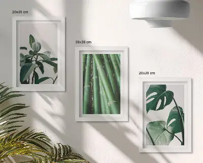Juego de 3 cuadros decorativos de tallos de bambú con hojas de monstera