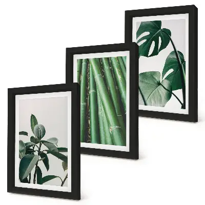 Juego de 3 cuadros decorativos de tallos de bambú con hojas de monstera