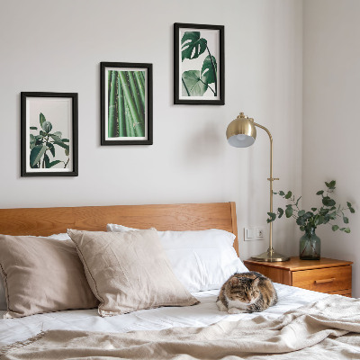 Juego de 3 cuadros decorativos Tallos de bambú, planta de interior y hojas de monstera