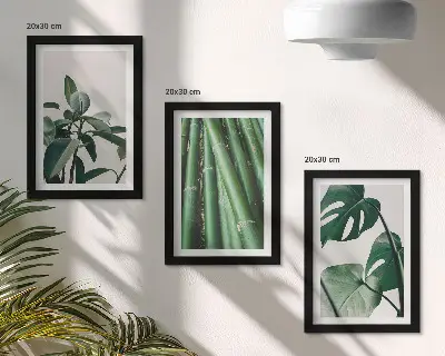 Juego de 3 cuadros decorativos de tallos de bambú con hojas de monstera