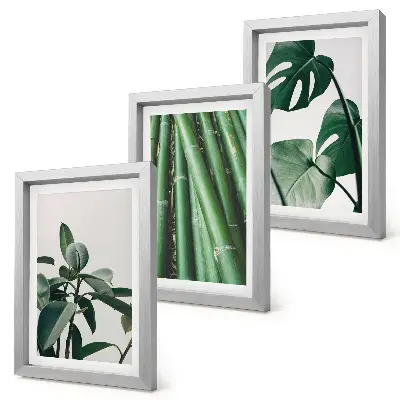 Juego de 3 cuadros decorativos de tallos de bambú con hojas de monstera