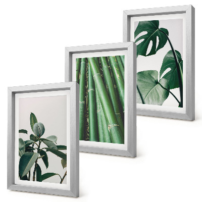 Juego de 3 cuadros decorativos Tallos de bambú, planta de interior y hojas de monstera