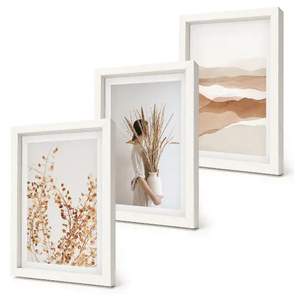 Juego de 3 cuadros decorativos con motivos vegetales abstractos de estilo rústico bohemio