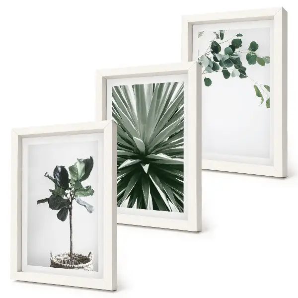 Juego de 3 cuadros decorativos con diseño de plantas verdes en estilo minimalista