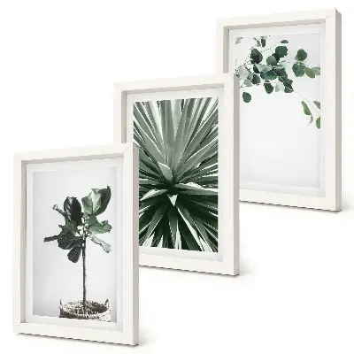 Juego de 3 cuadros decorativos con diseño de plantas verdes en estilo minimalista