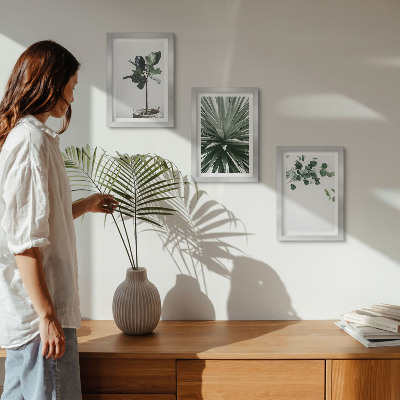 Juego de 3 cuadros decorativos Plantas verdes en un estilo minimalista.