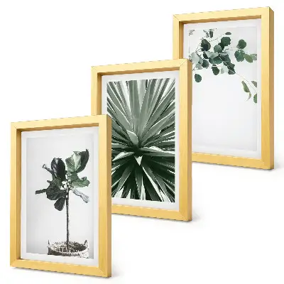 Juego de 3 cuadros decorativos con diseño de plantas verdes en estilo minimalista