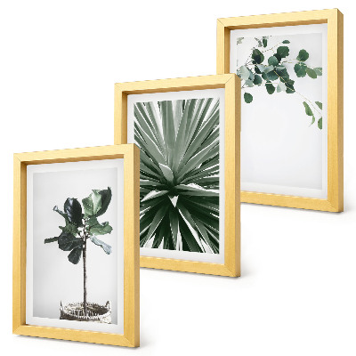 Juego de 3 cuadros decorativos Plantas verdes en un estilo minimalista.