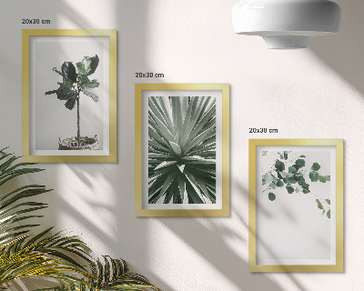 Juego de 3 cuadros decorativos Plantas verdes en un estilo minimalista.