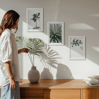Juego de 3 cuadros decorativos Plantas verdes en un estilo minimalista.