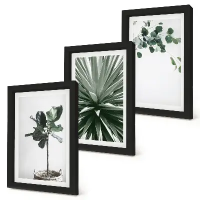 Juego de 3 cuadros decorativos con diseño de plantas verdes en estilo minimalista