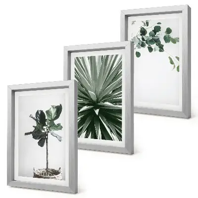 Juego de 3 cuadros decorativos con diseño de plantas verdes en estilo minimalista