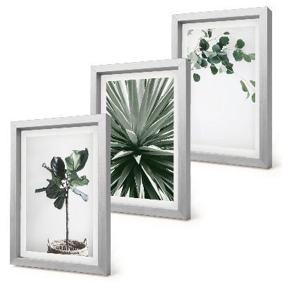 Juego de 3 cuadros decorativos Plantas verdes en un estilo minimalista.