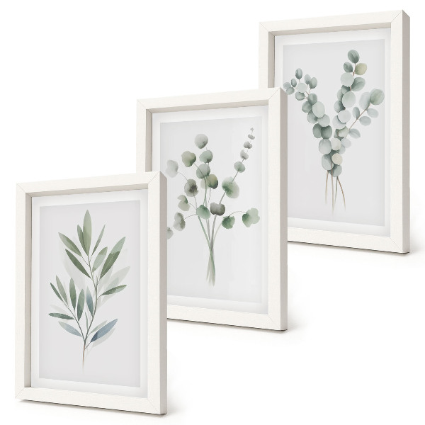 Juego de 3 cuadros decorativos Diseños vegetales en tonos verdes y grises.