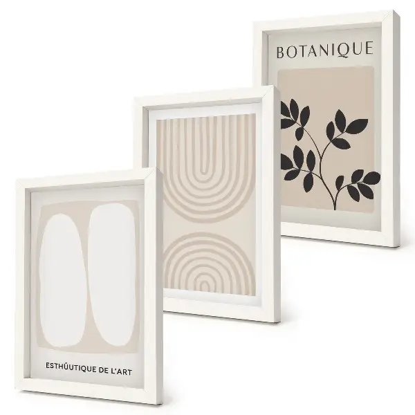 Juego de 3 cuadros decorativos con pósteres bohemios delicados de motivos abstractos de plantas