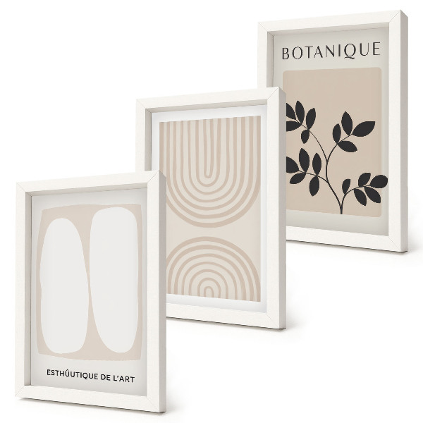 Juego de 3 cuadros decorativos Pósteres bohemios delicados con motivos abstractos de plantas
