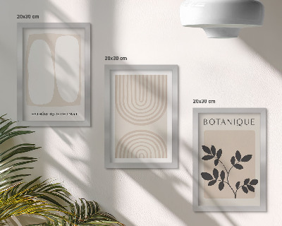 Juego de 3 cuadros decorativos Pósteres bohemios delicados con motivos abstractos de plantas