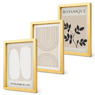 Juego de 3 cuadros decorativos con pósteres bohemios delicados de motivos abstractos de plantas