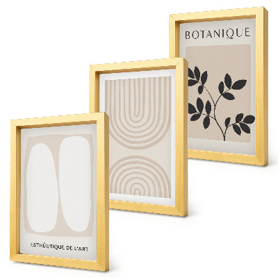 Juego de 3 cuadros decorativos Pósteres bohemios delicados con motivos abstractos de plantas
