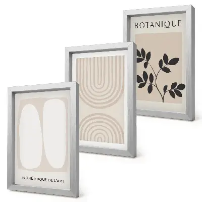Juego de 3 cuadros decorativos con pósteres bohemios delicados de motivos abstractos de plantas