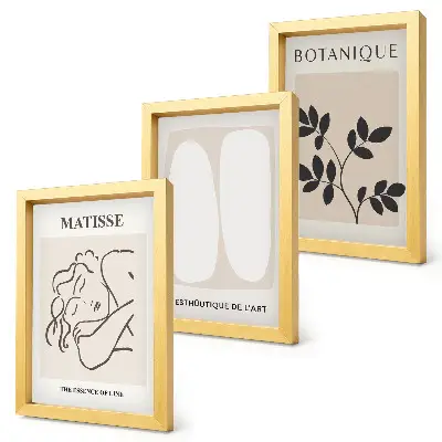 Tríptico de pinturas minimalistas de Matisse con motivos vegetales enmarcado