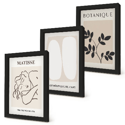 Tríptico enmarcado Elegantes pinturas minimalistas con motivos vegetales de Matisse.