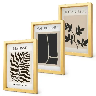 Juego de 3 cuadros decorativos con motivos minimalistas vegetales y abstractos