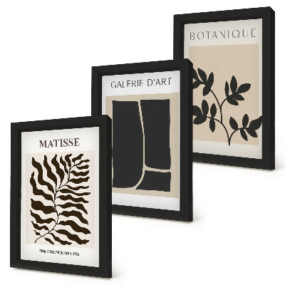 Juego de 3 cuadros decorativos Pósteres minimalistas con motivos vegetales y abstractos.