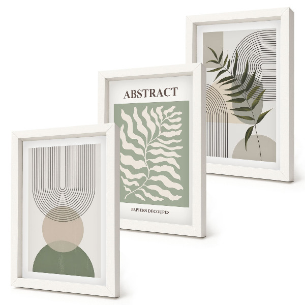 Juego de 3 cuadros decorativos Abstractos botánicos de estilo rústico bohemio