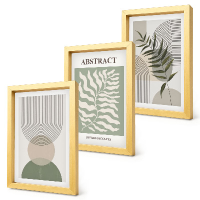 Juego de 3 cuadros decorativos Abstractos botánicos de estilo rústico bohemio