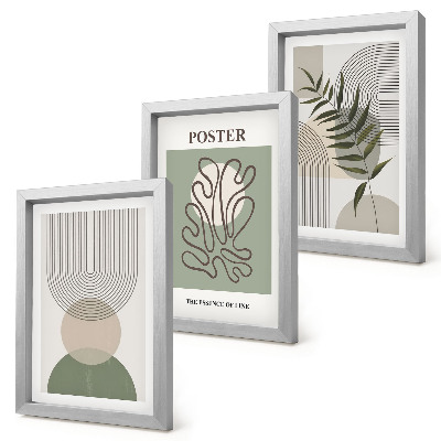 Tríptico enmarcado Póster con patrones botánicos abstractos geométricos