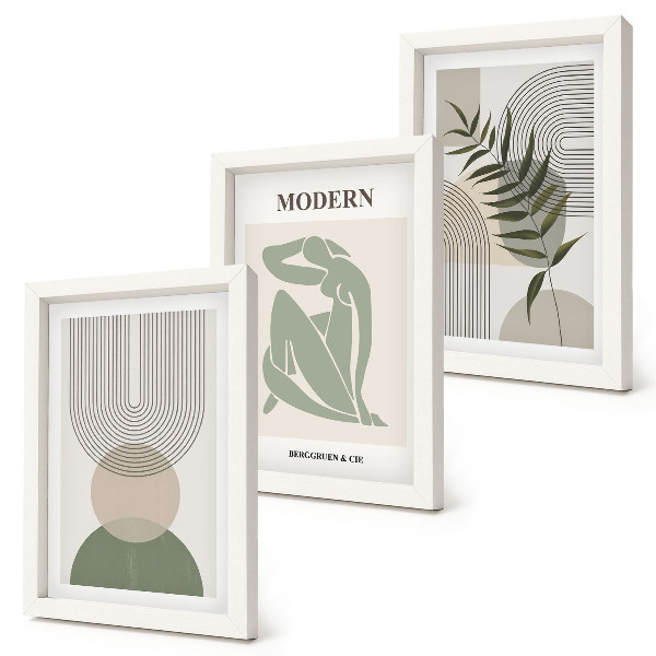 Juego de 3 cuadros decorativos Gráficos elegantes con formas abstractas y plantas.