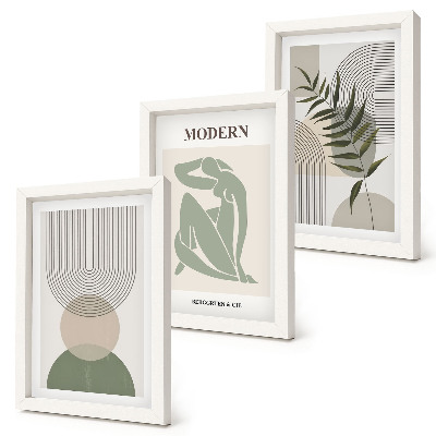 Juego de 3 cuadros decorativos Gráficos elegantes con formas abstractas y plantas.
