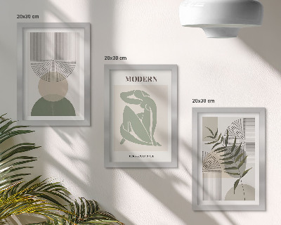 Juego de 3 cuadros decorativos Gráficos elegantes con formas abstractas y plantas.