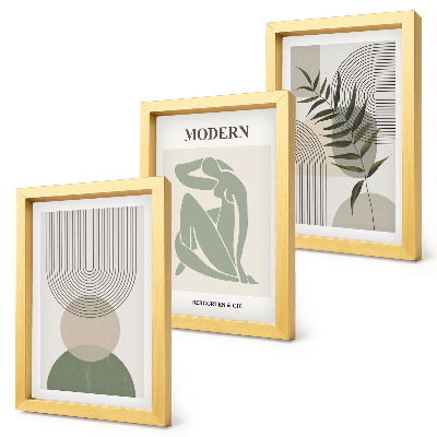 Juego de 3 cuadros decorativos Gráficos elegantes con formas abstractas y plantas.