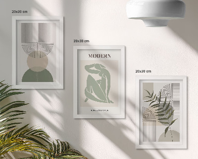 Juego de 3 cuadros decorativos Gráficos elegantes con formas abstractas y plantas.