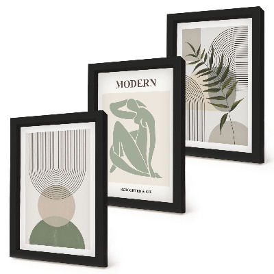 Juego de 3 cuadros decorativos Gráficos elegantes con formas abstractas y plantas.