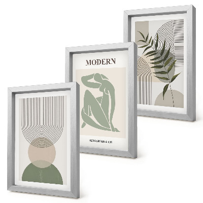 Juego de 3 cuadros decorativos Gráficos elegantes con formas abstractas y plantas.