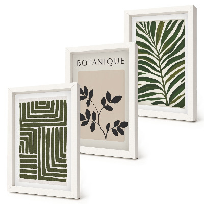 Juego de 3 cuadros decorativos Composiciones botánicas al estilo del minimalismo bohemio.